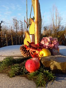 Plückebaum Gartenbau